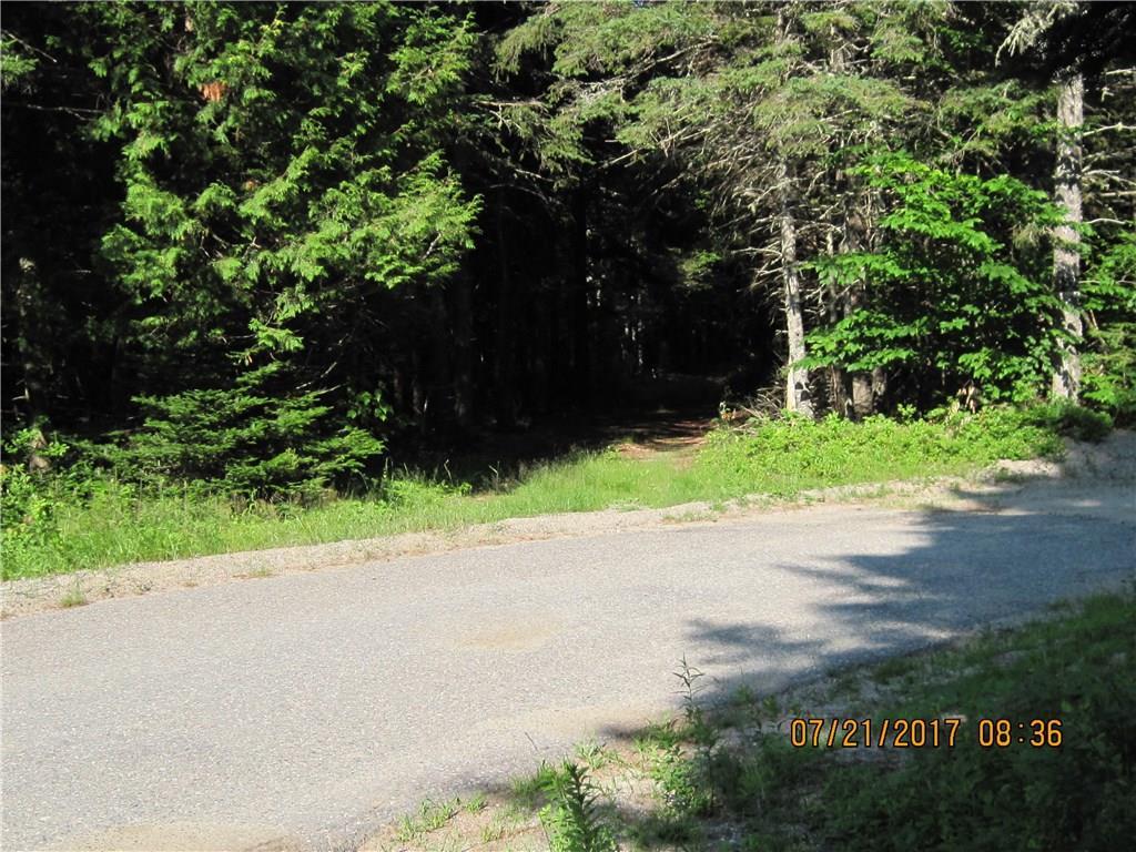 99 East Skunk Ridge Road Columbia Falls, ME 04623 - Photo 2 of 18 Photo
