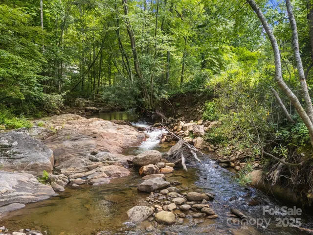 a view of water covered with trees