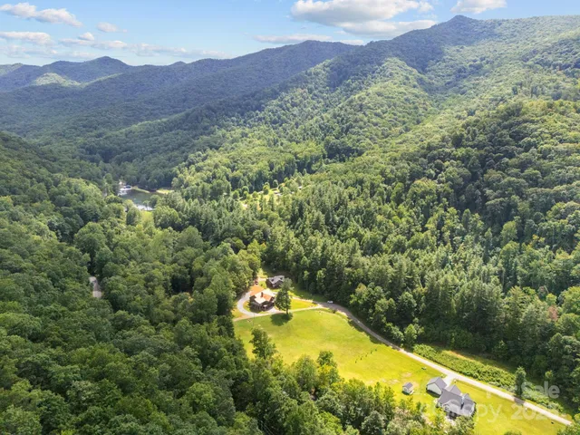 a view of a lush green hillside and a houses