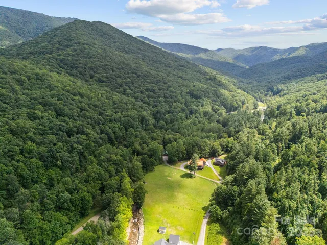 a view of a lush green hillside and a mountain