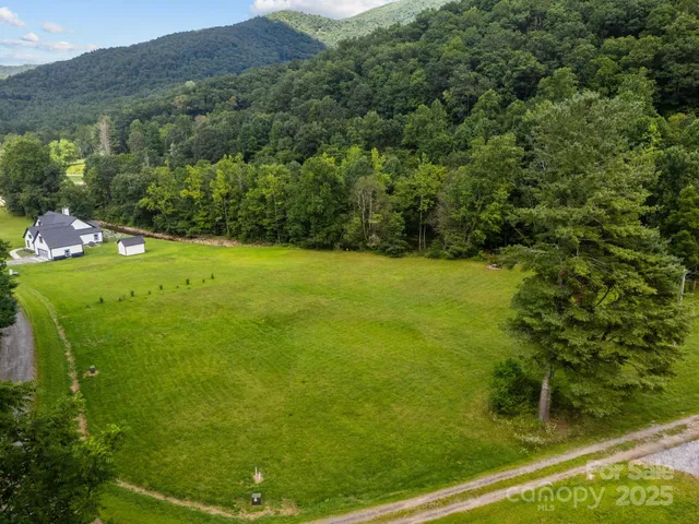 a view of a big yard with large trees