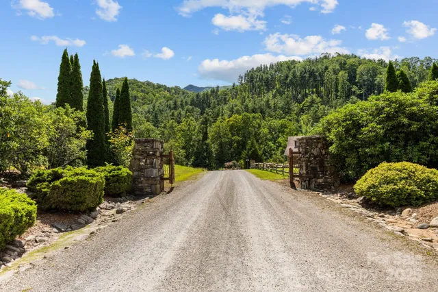 a view of a garden with an outdoor space