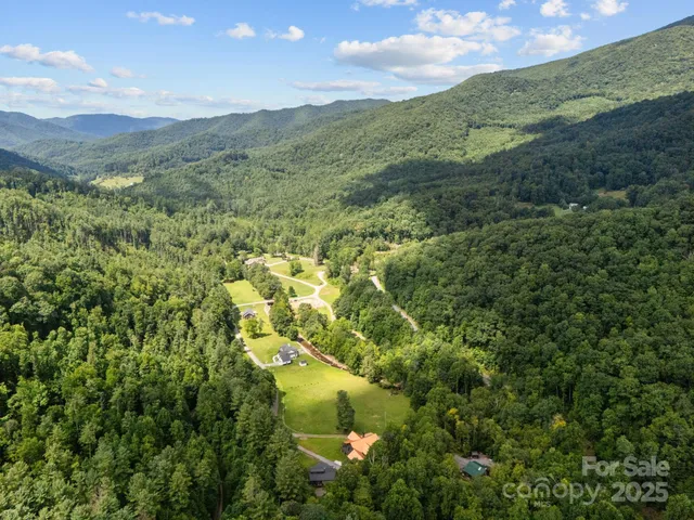 a view of a lush green forest with a mountain