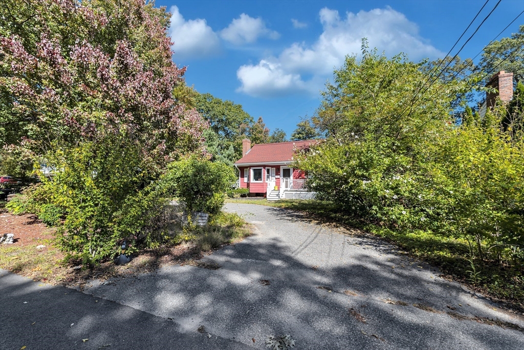 324 Central Avenue Dedham, MA 02026 - Photo 3 of 27 a view of a house with a yard and plant