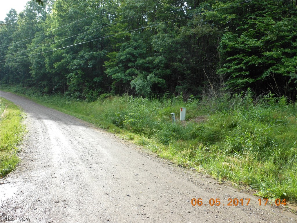9539 Heston Road Kimbolton, OH 43749 - Photo 3 of 6 Gallery Image 3