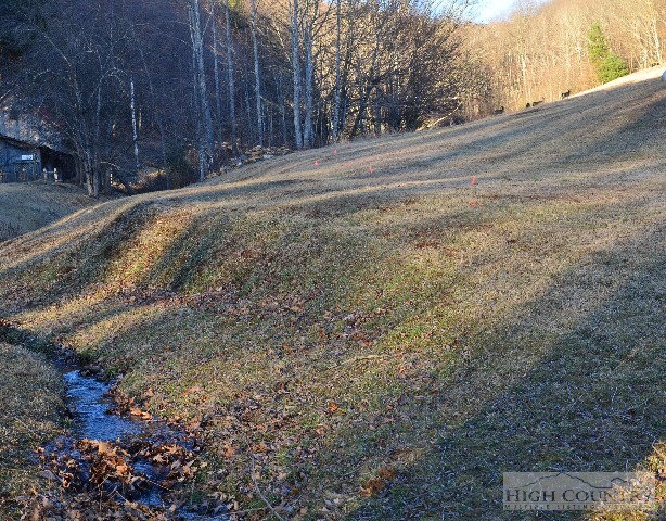 250 Bower Calloway Road Jefferson, NC 28640 - Photo 10 of 22 Gallery Image 10
