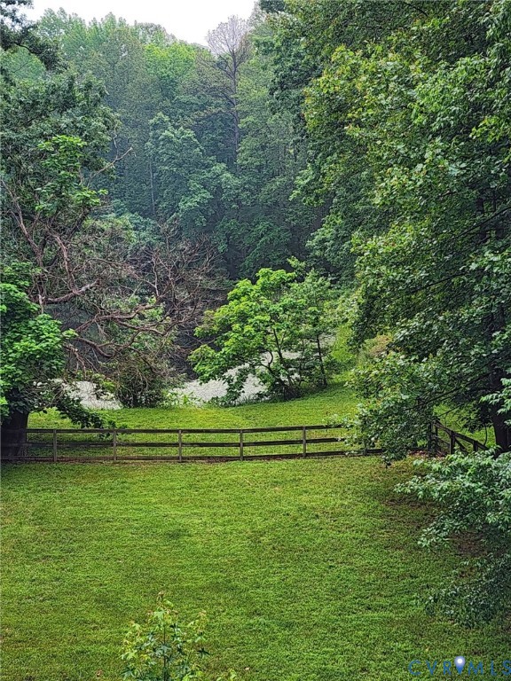 1670 Mill Quarter Road Powhatan, VA 23139 - Photo 13 of 14 Backyard