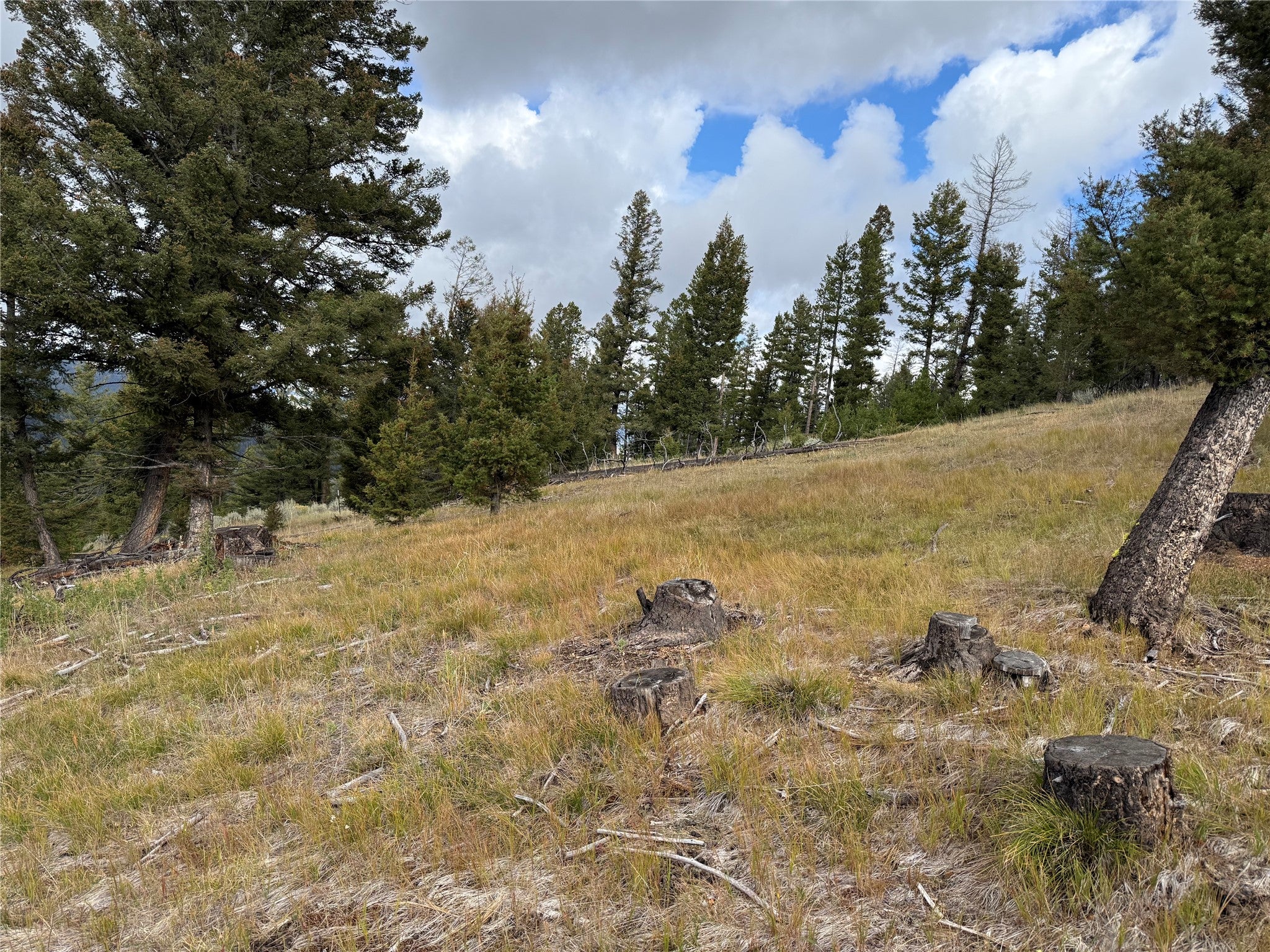 Lot 8 Ruby Street Butte, MT 59701 - Photo 21 of 34 Gallery Image 21