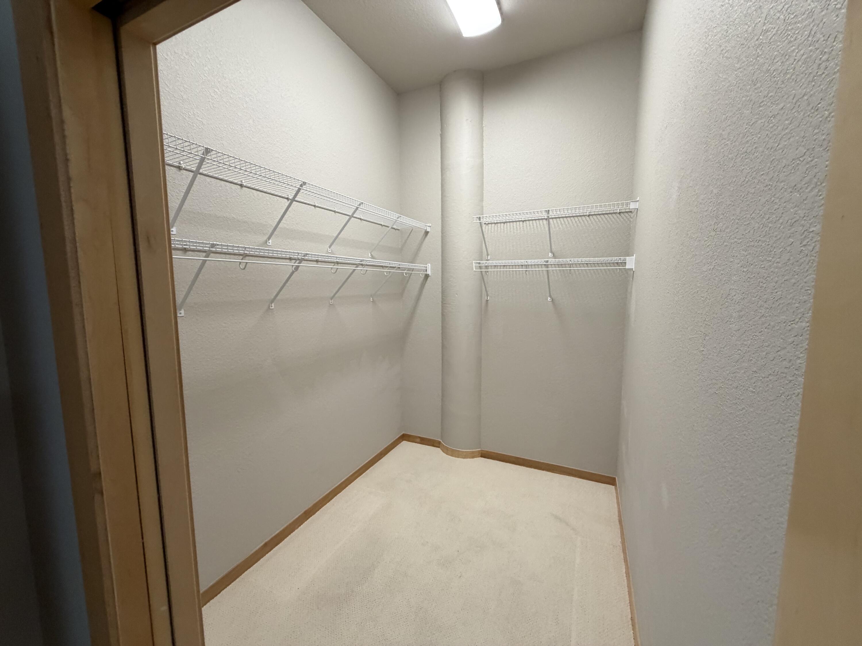 320 East Buffalo Street, Unit 803 Milwaukee, WI 53202 - Photo 23 of 31 Primary bedroom walk-in closet
