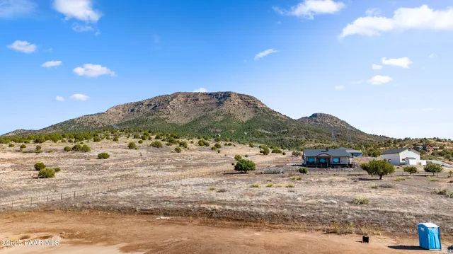 a view of a dry yard with green space