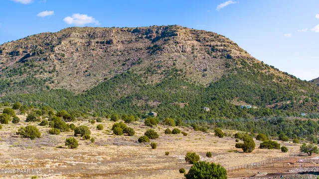a view of a snow with of trees