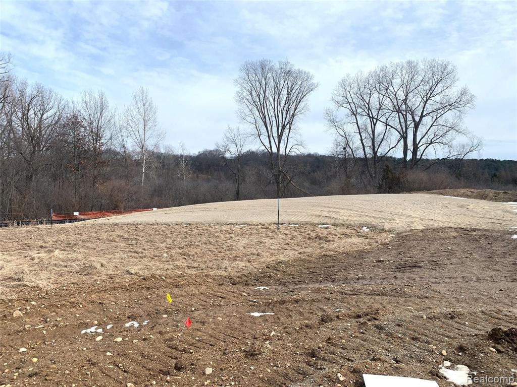 0 Chestnut Springs Drive Howell, MI 48843 - Photo 4 of 7