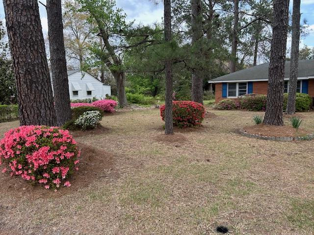 951 Boulevard Road Sumter, SC 29153 - Photo 44 of 47 Gallery Image 44