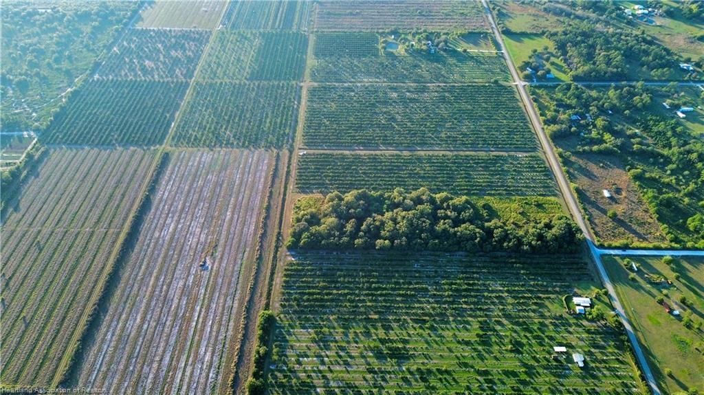 1050 Arbuckle Creek Road Lorida, FL 33857 - Photo 2 of 6 a view of outdoor space and garden