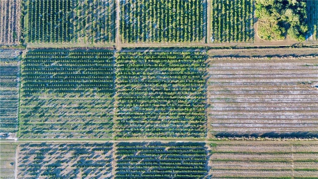 1050 Arbuckle Creek Road Lorida, FL 33857 - Photo 5 of 6