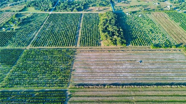 $160,000 | 1050 Arbuckle Creek Road, Lorida, FL 33857