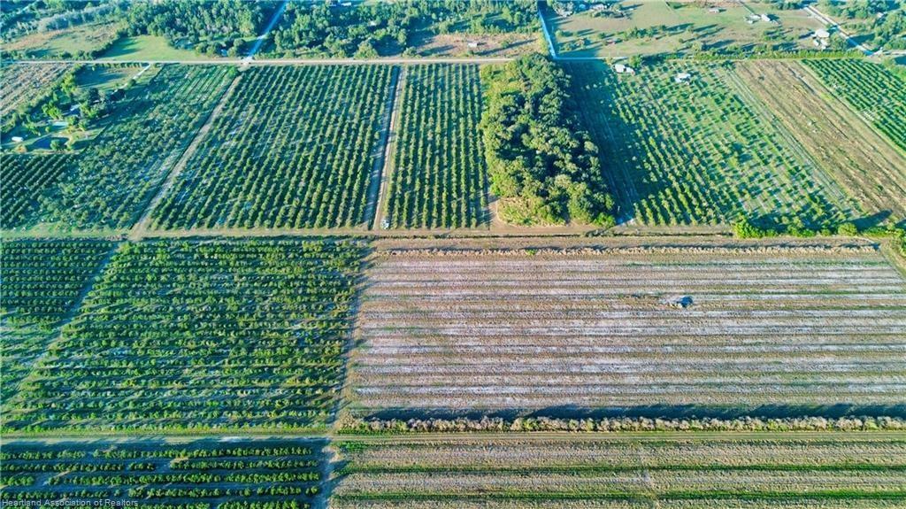 1050 Arbuckle Creek Road Lorida, FL 33857 - Photo 6 of 6 a green field with trees in the background