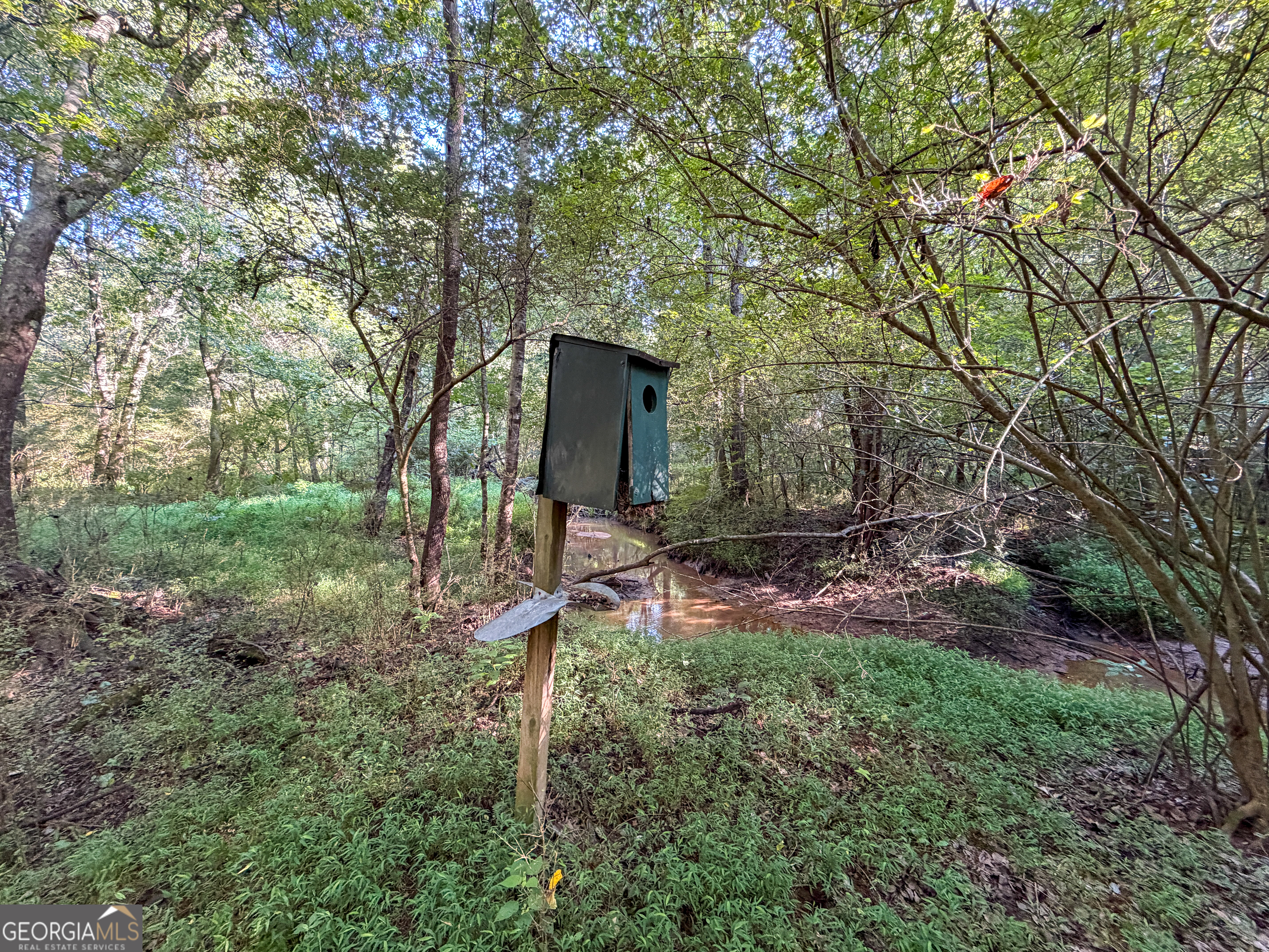 0 Hester Town Road Monroe, GA 30655 - Photo 40 of 45