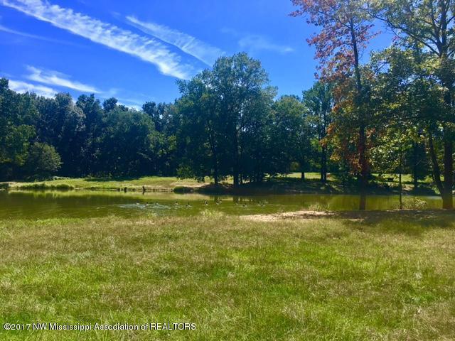 1 Star Landing Road Nesbit, MS 38651 - Photo 1 of 13 FullSizeRender