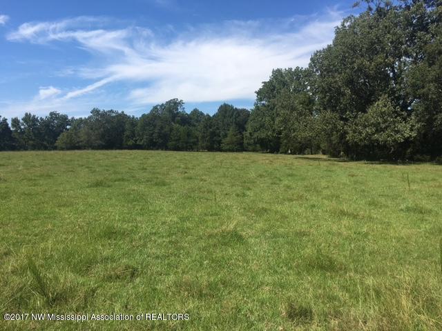 1 Star Landing Road Nesbit, MS 38651 - Photo 11 of 13 IMG_4980