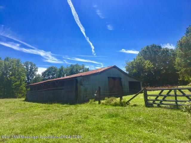 1 Star Landing Road Nesbit, MS 38651 - Photo 2 of 13 FullSizeRender (2)