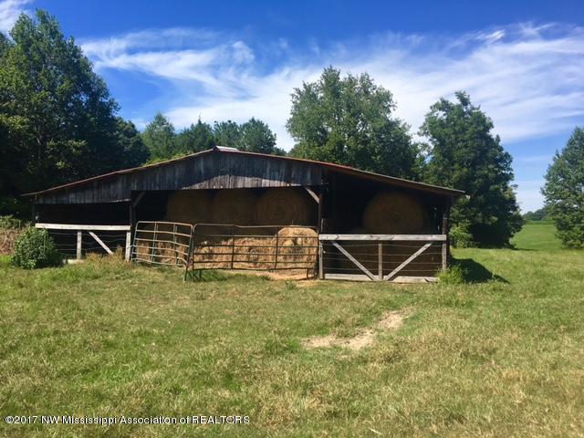 1 Star Landing Road Nesbit, MS 38651 - Photo 3 of 13 FullSizeRender_1 (2)