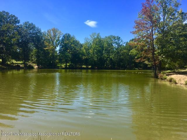 1 Star Landing Road Nesbit, MS 38651 - Photo 4 of 13 FullSizeRender_1