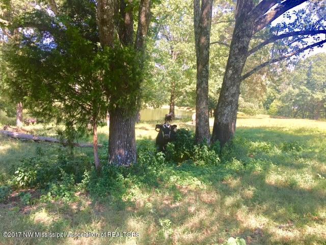 1 Star Landing Road Nesbit, MS 38651 - Photo 5 of 13 FullSizeRender_2
