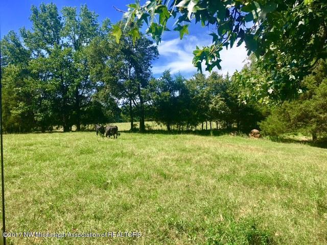 1 Star Landing Road Nesbit, MS 38651 - Photo 6 of 13 FullSizeRender_3