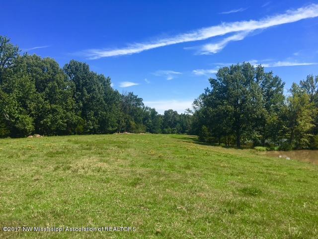 1 Star Landing Road Nesbit, MS 38651 - Photo 8 of 13 FullSizeRender_5