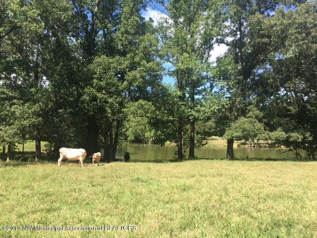 1 Star Landing Road Nesbit, MS 38651 - Photo 10 of 13 IMG_4972