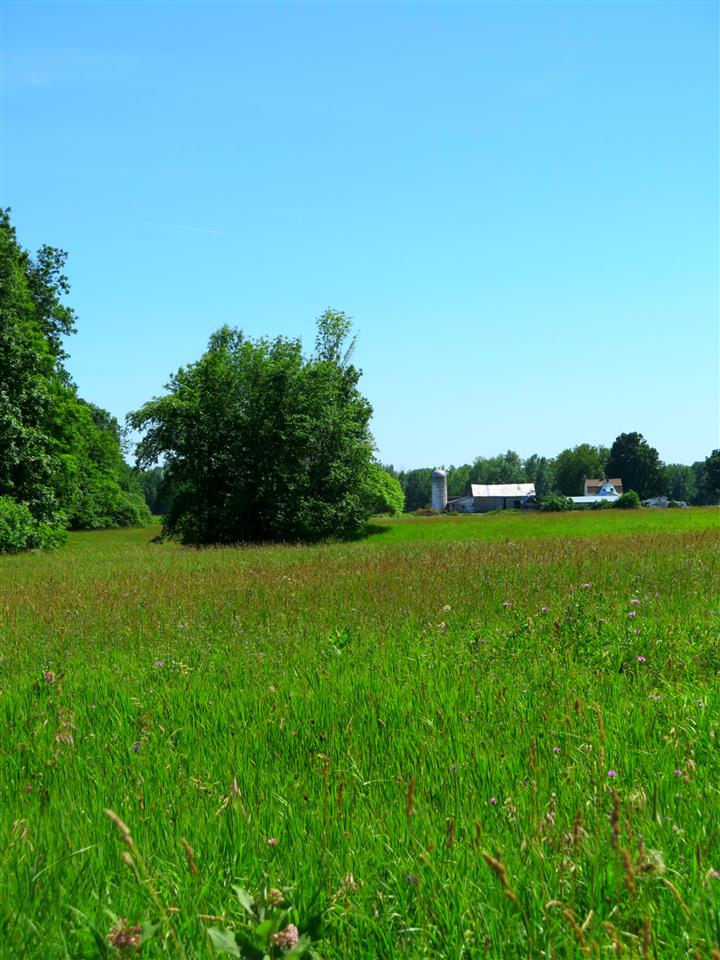 84 Reynolds Road, Unit LOT 29 Grand Isle, VT 05458 - Photo 16 of 29 Gallery Image 16