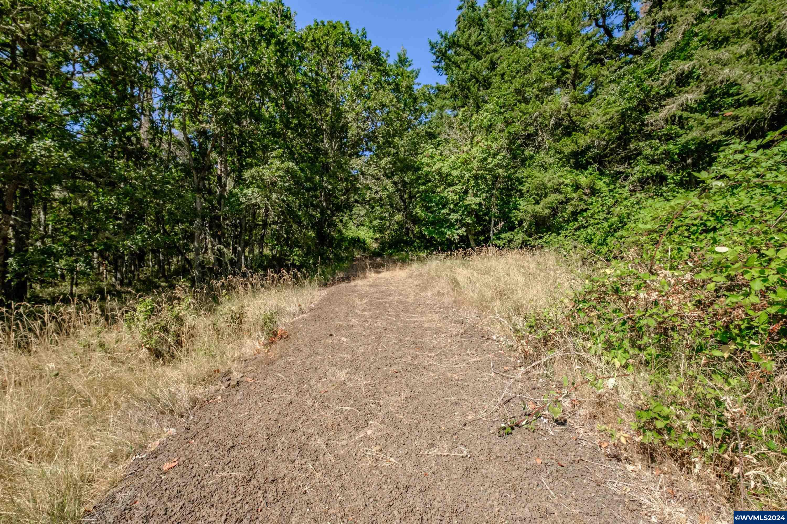 28920 Sheep Head Road Brownsville, OR 97327 - Photo 23 of 32