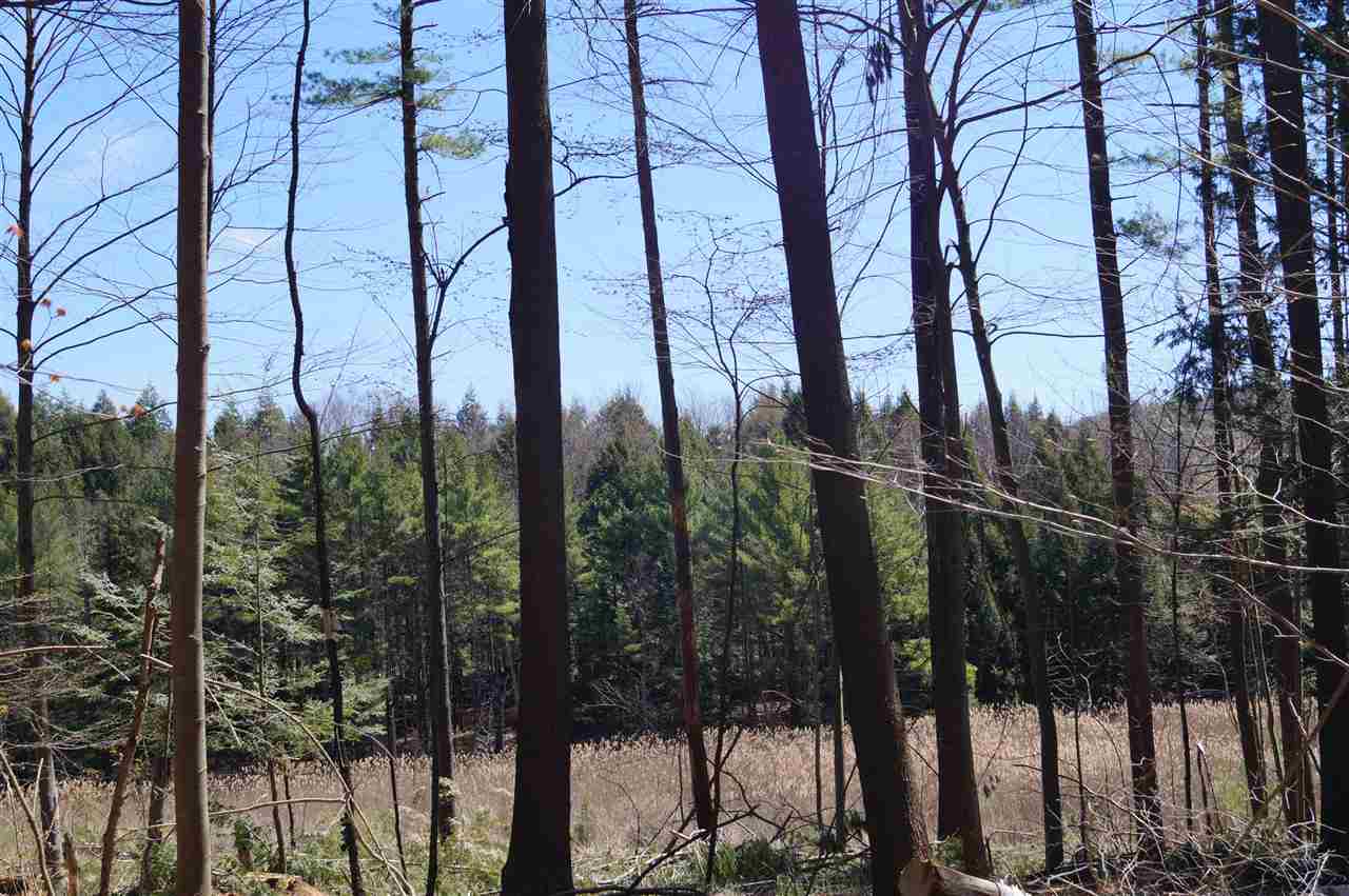 0 Marshall Phillips Road Brandon, VT 05733 - Photo 2 of 8