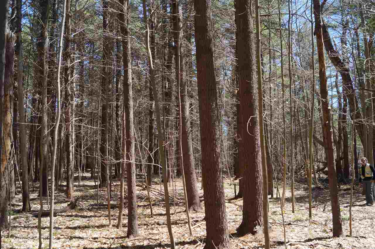 0 Marshall Phillips Road Brandon, VT 05733 - Photo 4 of 8