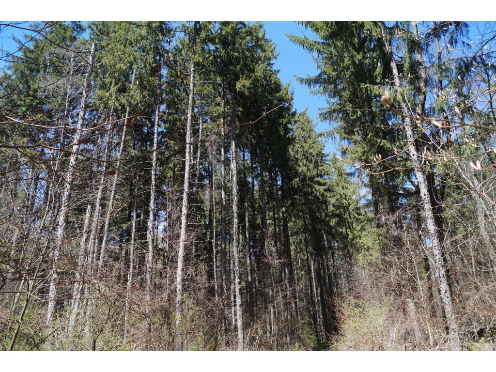 0 Marshall Phillips Road Brandon, VT 05733 - Photo 5 of 8