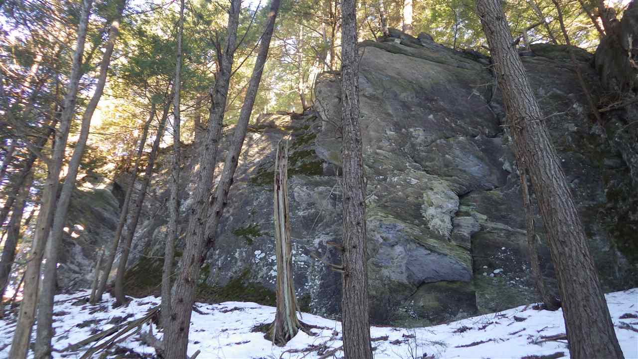 0 Marshall Phillips Road Brandon, VT 05733 - Photo 6 of 8