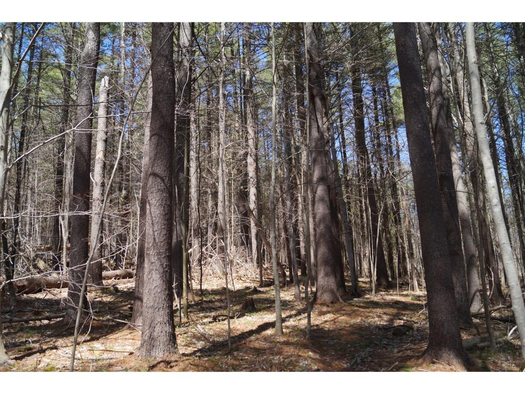 0 Marshall Phillips Road Brandon, VT 05733 - Photo 7 of 8