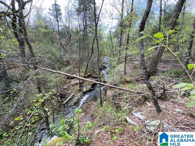 7550 Deer Haven Road, Unit 578 / AC Springville, AL 35146 - Photo 12 of 45 Gallery Image 12