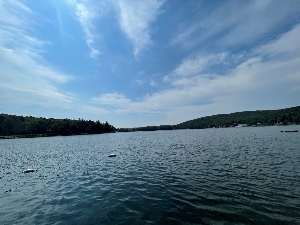85 Hanson Road Deposit, NY 13754 - Photo 12 of 12 Gallery Image 12