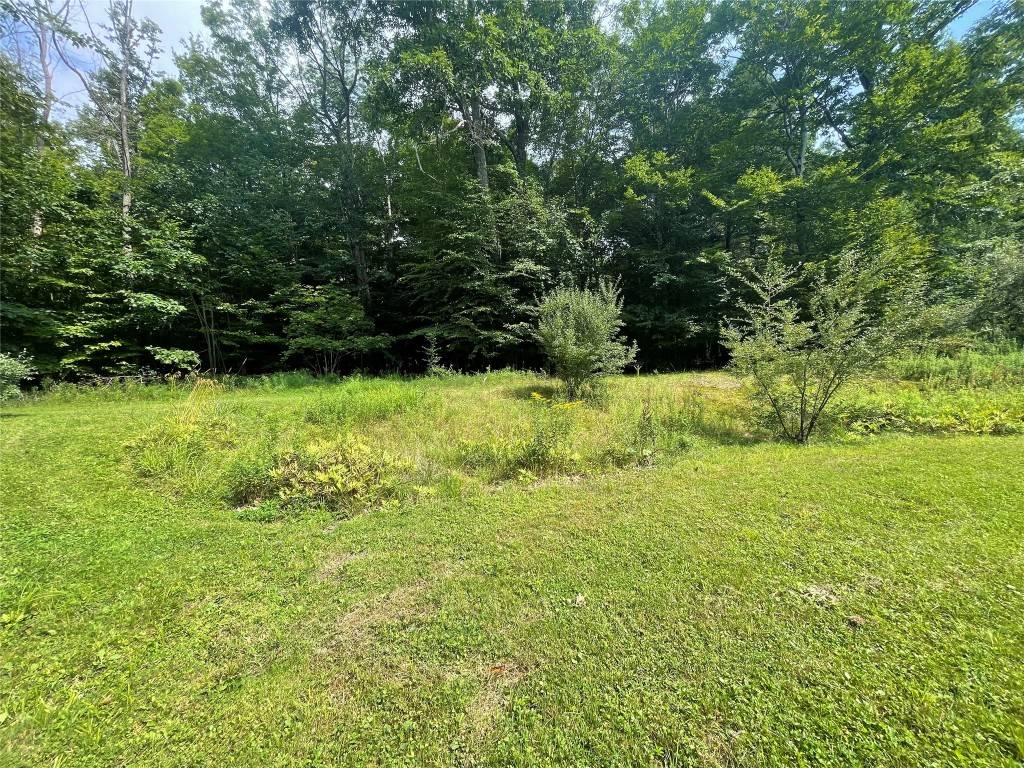 85 Hanson Road Deposit, NY 13754 - Photo 8 of 12 Gallery Image 8