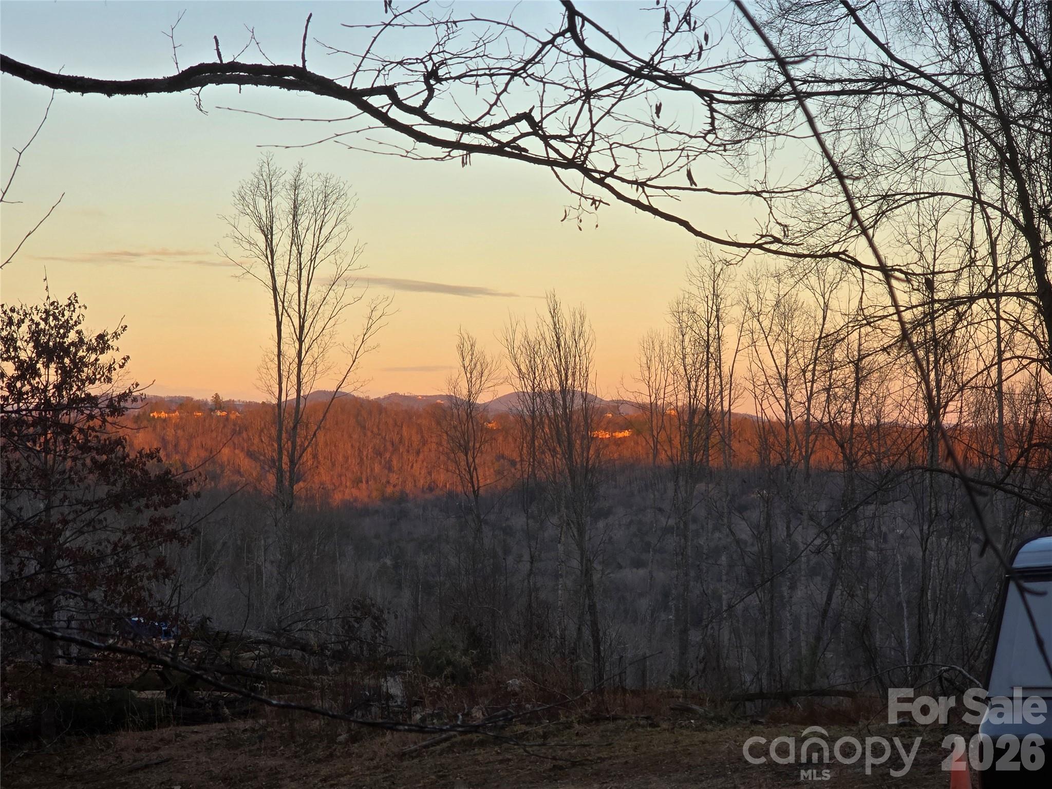 1480 Davis Mountain Road Hendersonville, NC 28739 - Photo 35 of 37