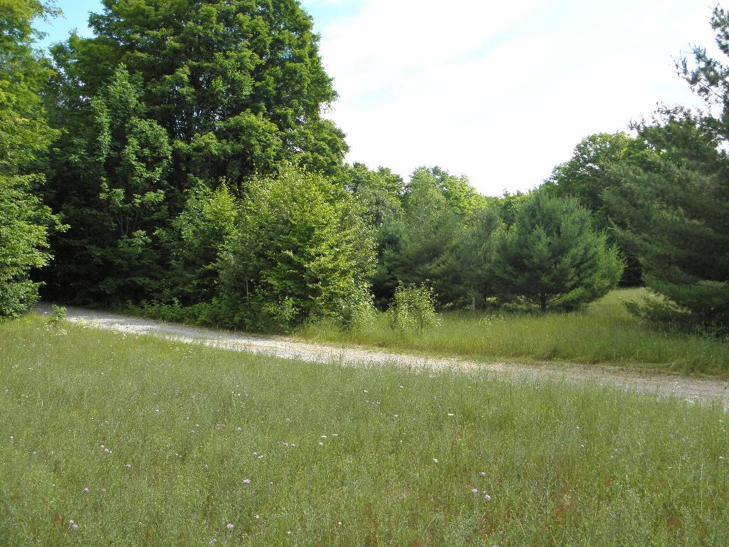 6501 Old State Road Atlanta, MI 49709 - Photo 7 of 16 Gallery Image 7