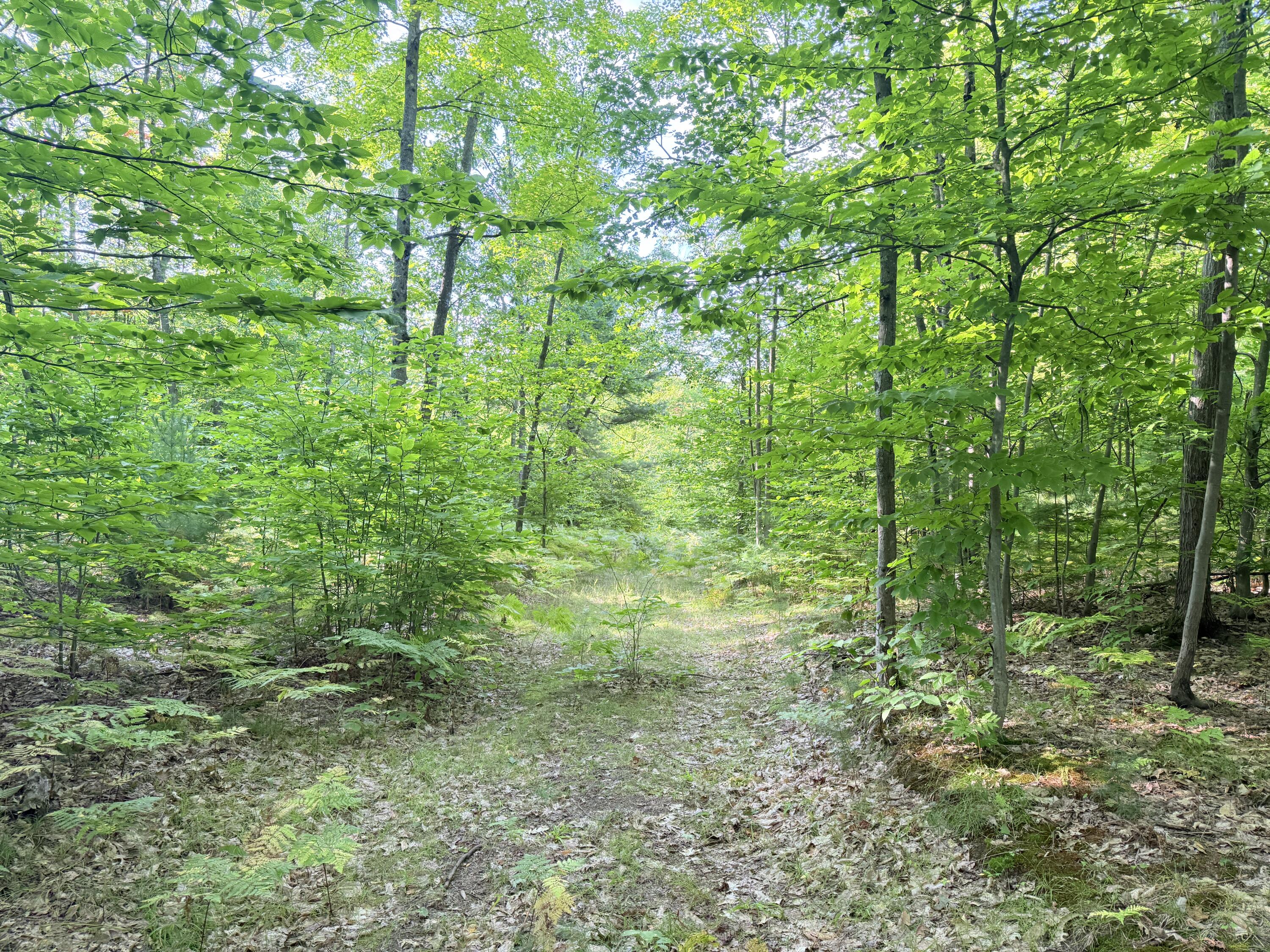 3 3 Mile Road Luther, MI 49656 - Photo 1 of 4 IMG_1202
