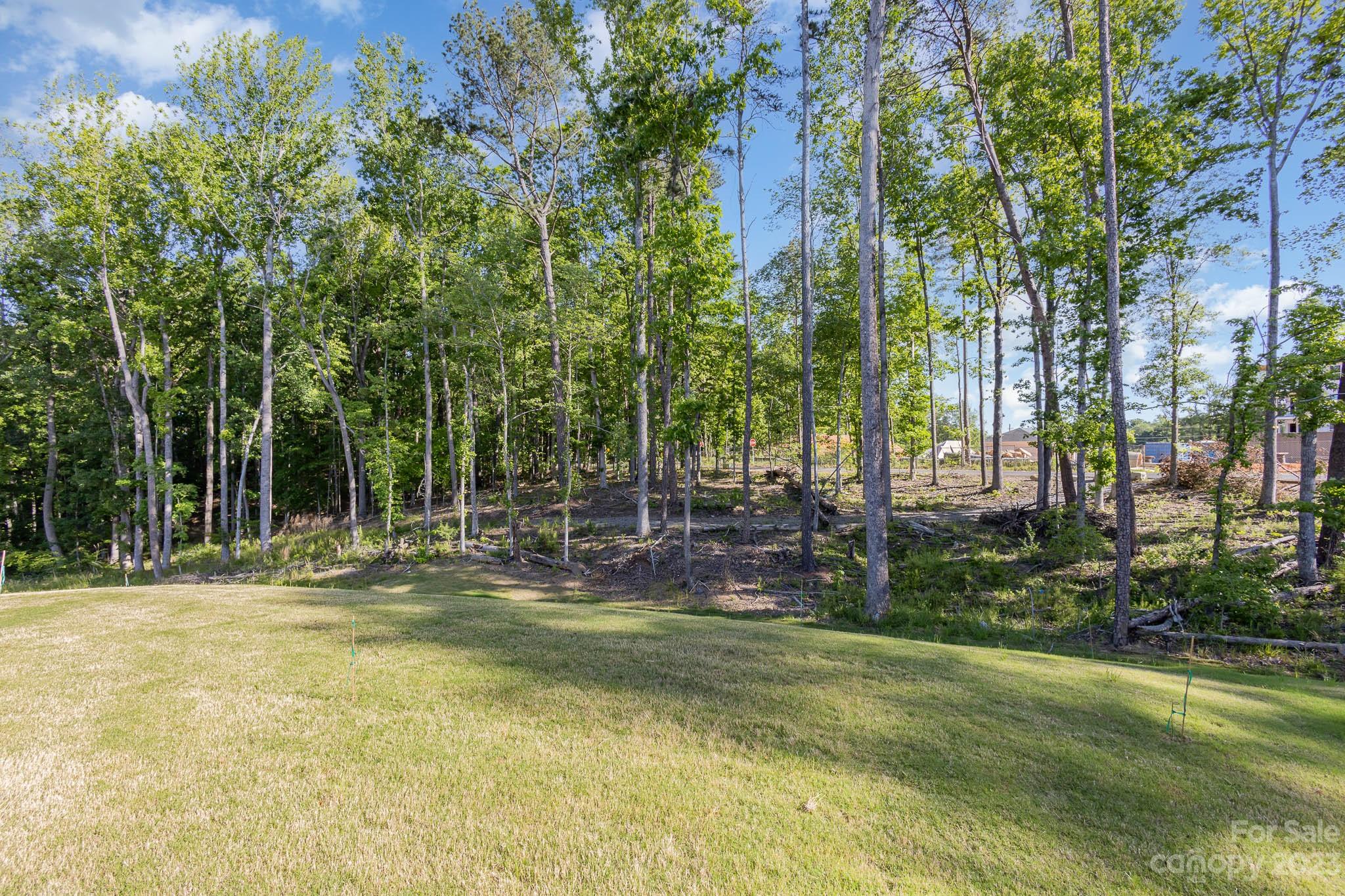 17150 Sand Bank Road Charlotte, NC 28278 - Photo 29 of 32 a view of a park with large trees