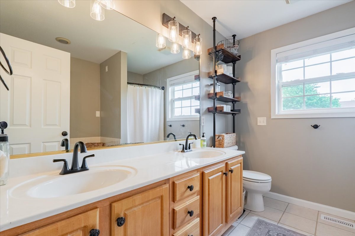 13561 Buck Road Bloomington, IL 61705 - Photo 31 of 43 a bathroom with a sink a toilet and a mirror
