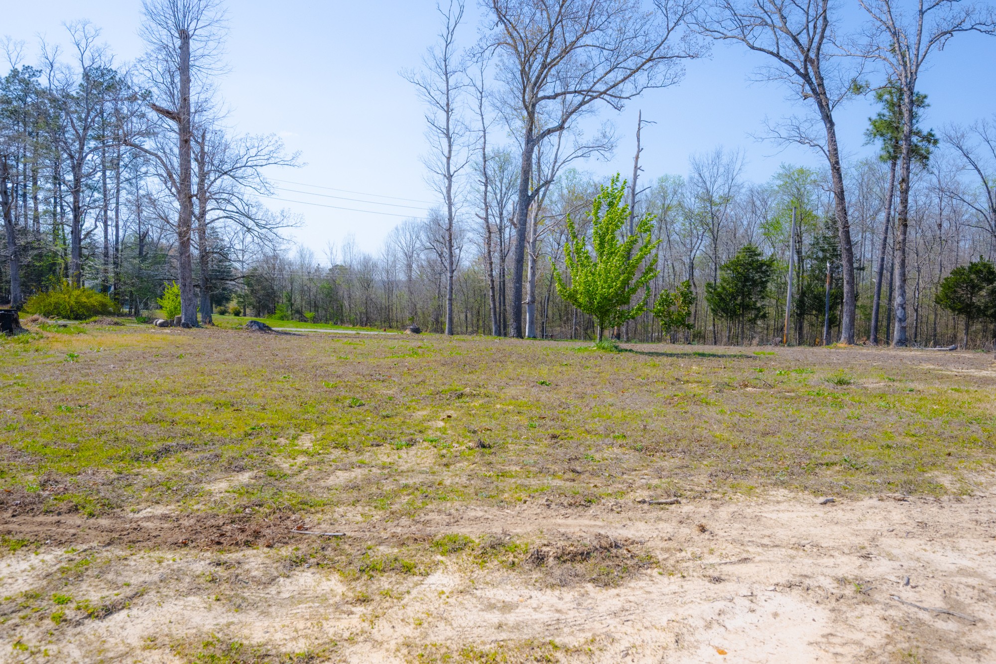 1705 Highway 100 Decaturville, TN 38329 - Photo 21 of 27 Gallery Image 21