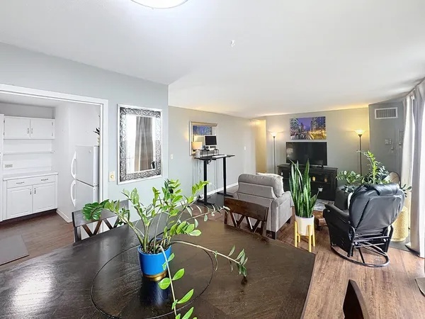 a living room with furniture flowerpot and a chandelier