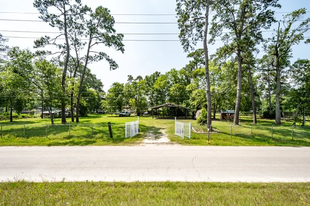 a view of a park with large trees