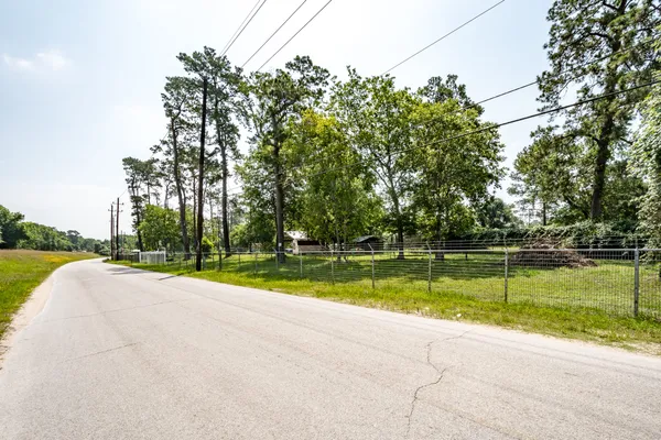 a view of a park with large trees